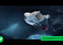 do 3d footwear animation, commercial sneakers ads rendering, 3d shoe animation